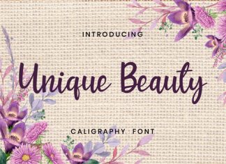 Unique Beauty Script Font