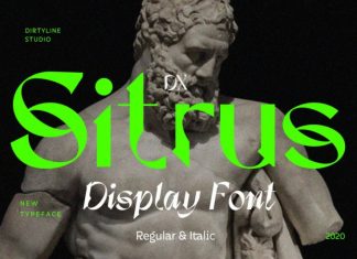 Dx Sitrus Display Font
