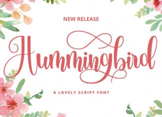 Hummingbird Script Font