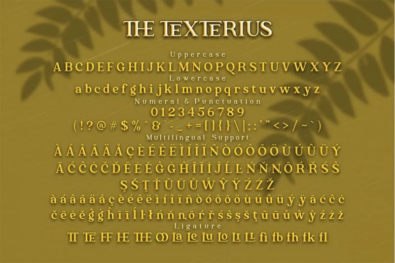 The Texterius Serif Font Befonts Com