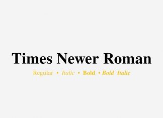 Times Newer Roman Serif Font