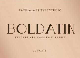 Boldatin Slab Display Font