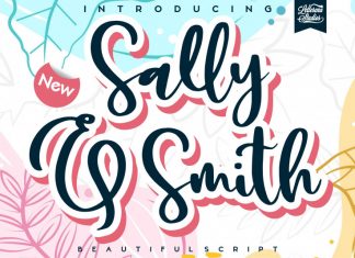 Sally & Smith Script Font