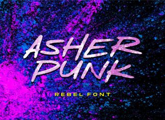 Asher Punk Display Font