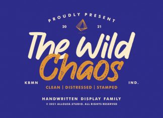 The Wild Chaos Display Font