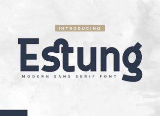 Estung Sans Serif Font