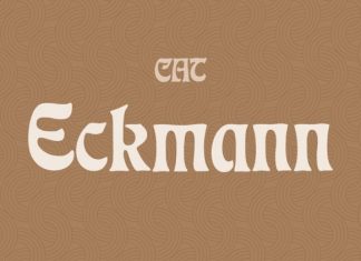 CAT Eckmann Display Font