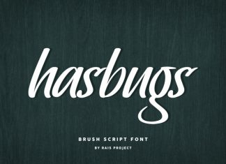 Hasbugs Brush Font