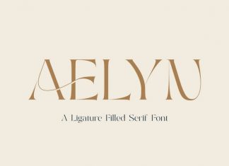 Aelyn Serif Font