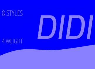 Didi Sans Serif Font