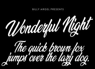 Wonderful Night Script Font
