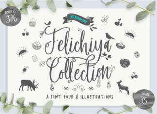 Felichiya Collection Script Font
