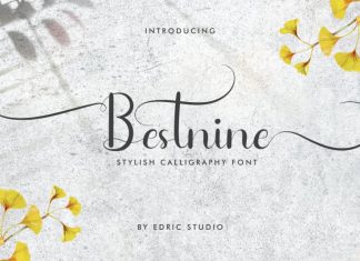 Bestnine Calligraphy Font