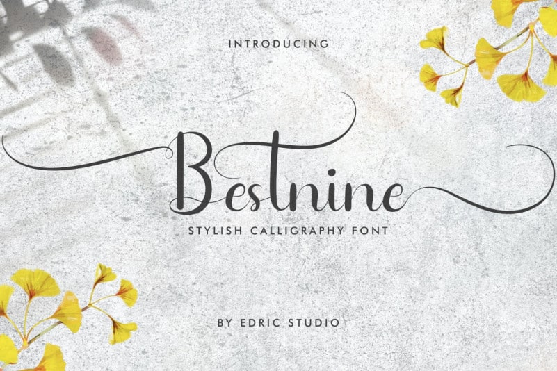 Bestnine Calligraphy Font