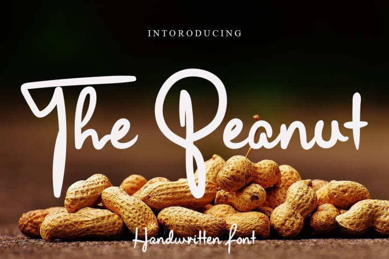 The Peanut Script Font