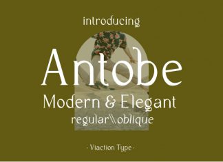 Antobe Serif Font