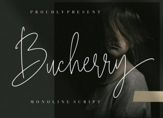 Bucherry Handwritten Font