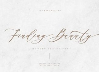 Finding Beauty Script Font