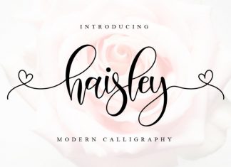 Haisley Calligraphy Font