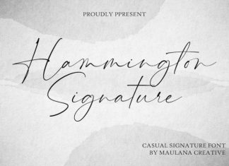 Hammington Script Font
