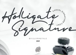 Holligate Signature Script Font