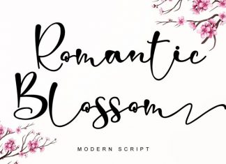 Romantic Blossom Script Font