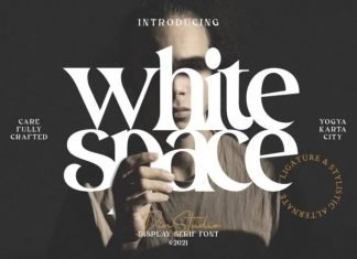 White Space Display Font