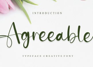 Agreeable Script Font