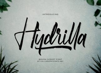 Hydrilla Textured Brush Font