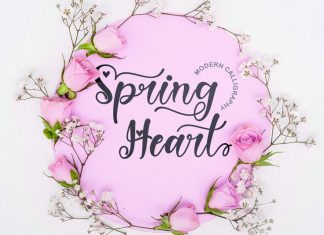Spring Heart Calligraphy Font