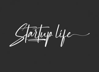 Startup Life Script Font