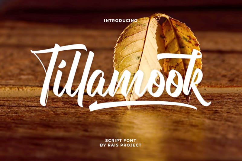 Tillamook Script Font