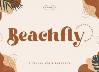 Beachfly Serif Font