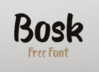 Bosk Brush Font