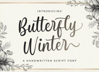 Butterfly Winter Script Font