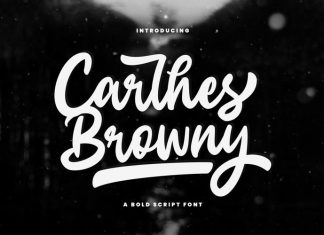Carlhes Browny Bold Script Font