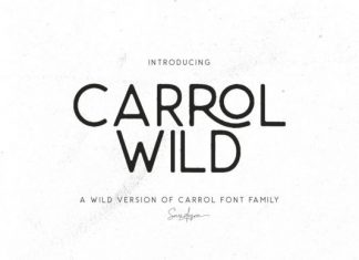 Carrol Wild Sans Serif Font