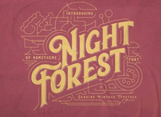 Night Forest Display Font