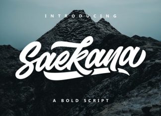 Saekana Bold Script Font