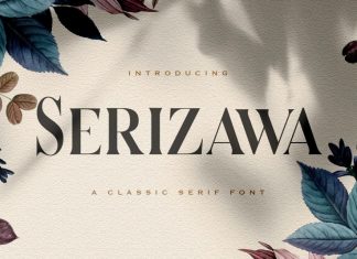 Serizawa Serif Font