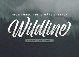 Wildline Script Font