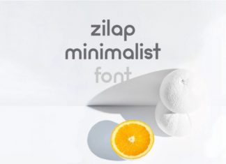 Zilap Minimalist Sans Serif Font
