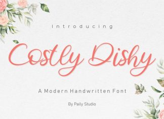 Costly Dishy Script Font