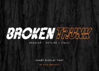 Broken Trunk Display Font