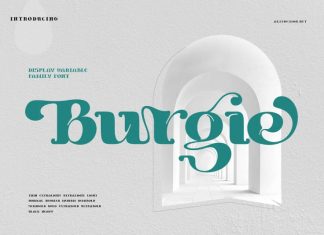 Burgie Black Serif Font