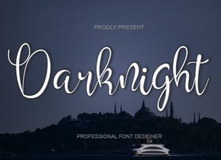 Darknight Script Font