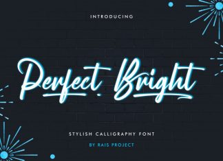 Perfect Bright Script Font