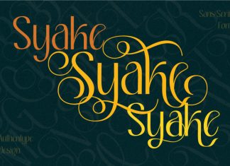Syake Sans Serif Font