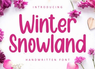 Winter Snowland Display Font