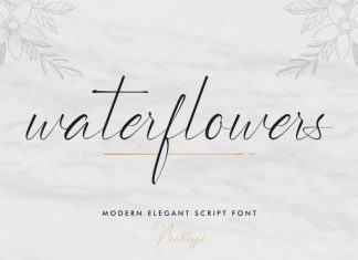 Waterflowers Script Font